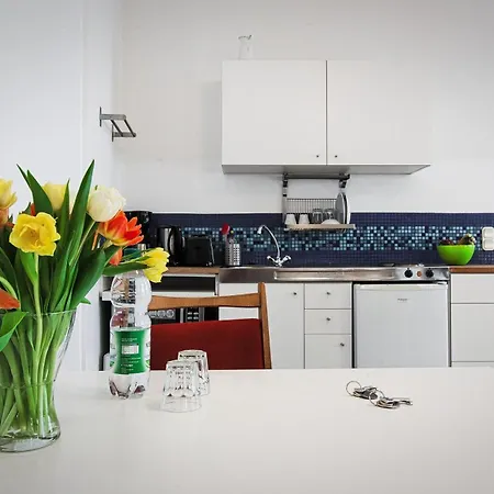 Mini-loft Apartment *